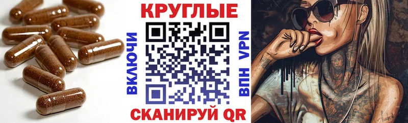 Ecstasy диски  Котельнич 